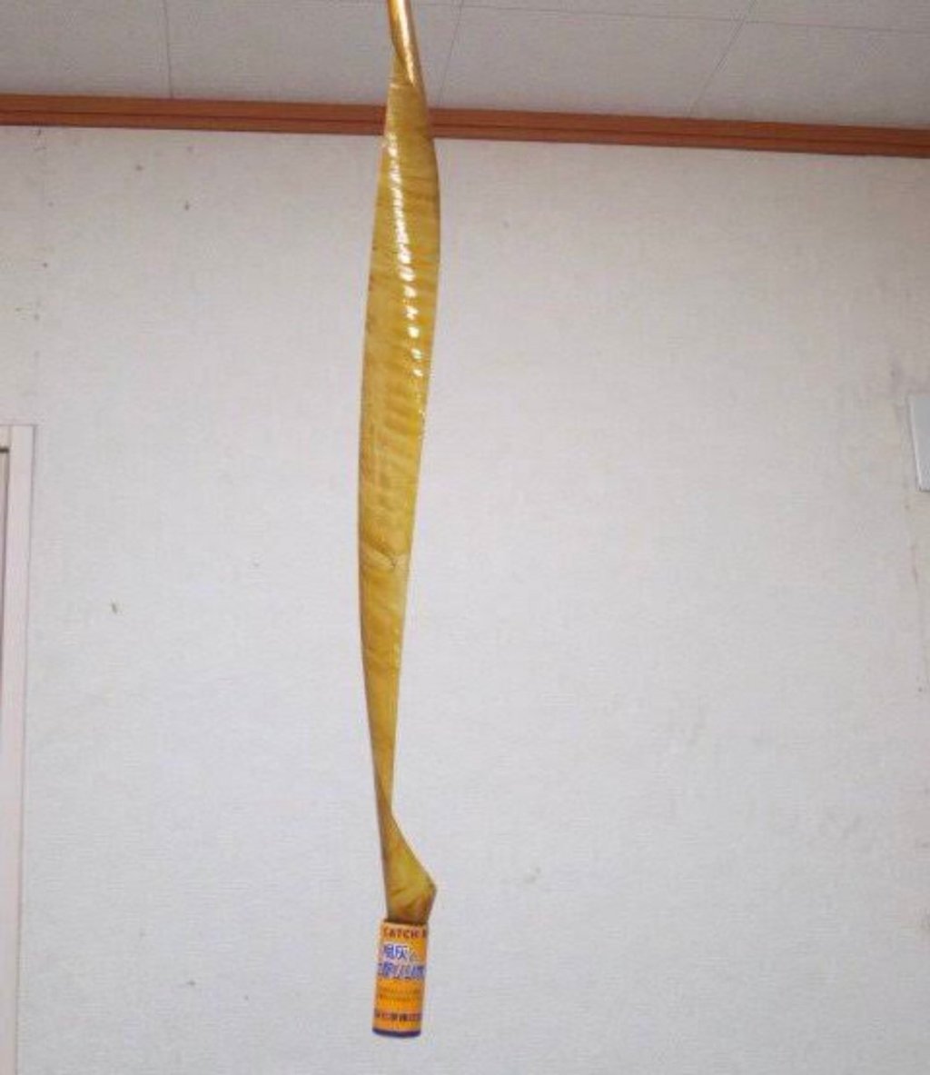 Unfurling the Freak&nbsp;Flypaper